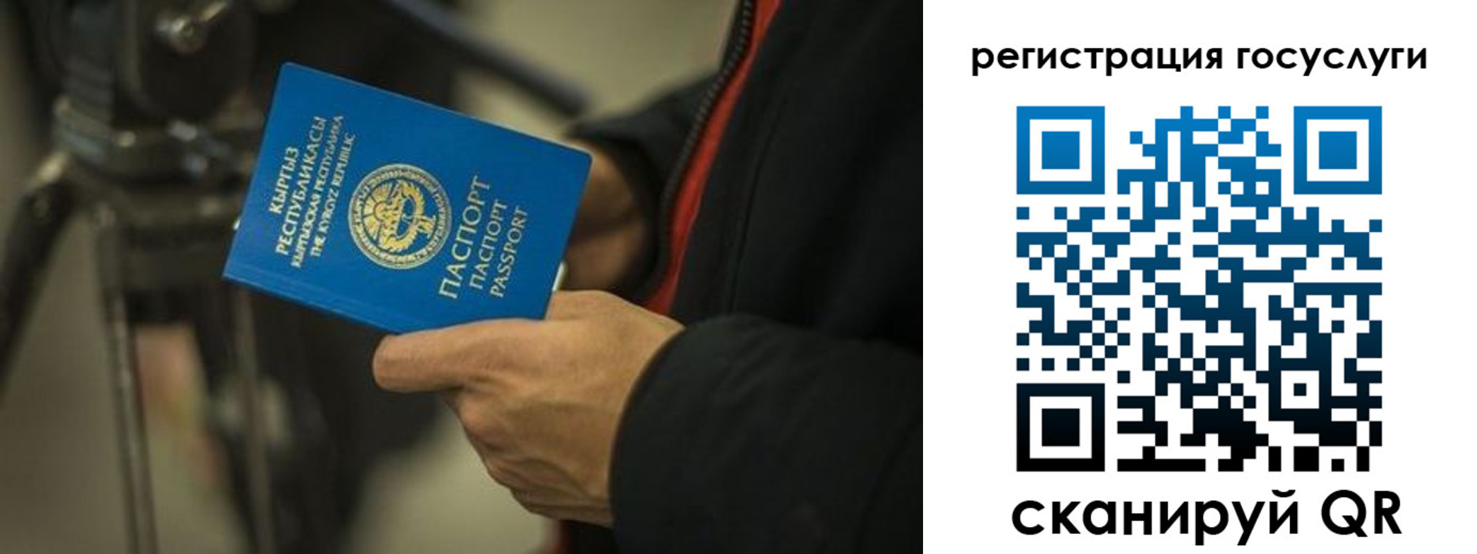 регистрация в Дрезне